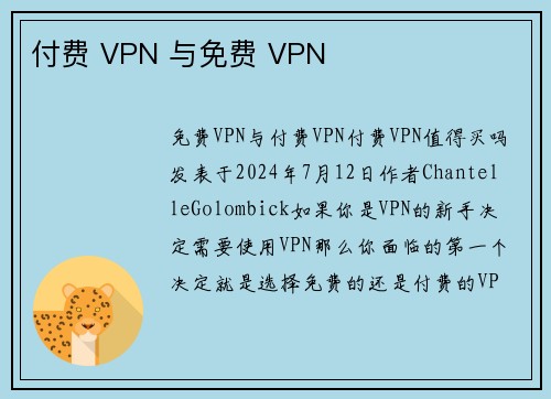 付费 VPN 与免费 VPN