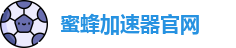 蜜蜂加速器官网